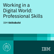 Working in a Digital World: Professional Skills