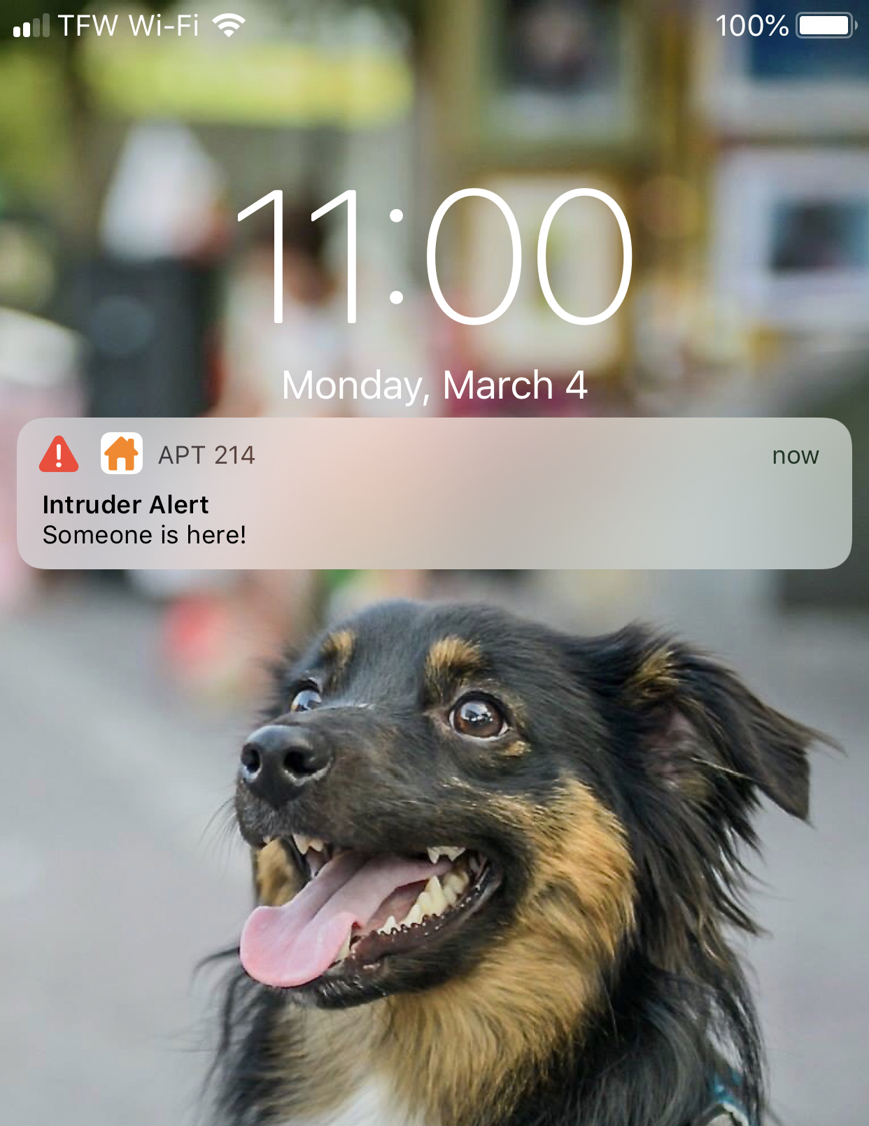 Screenshot of critical alert