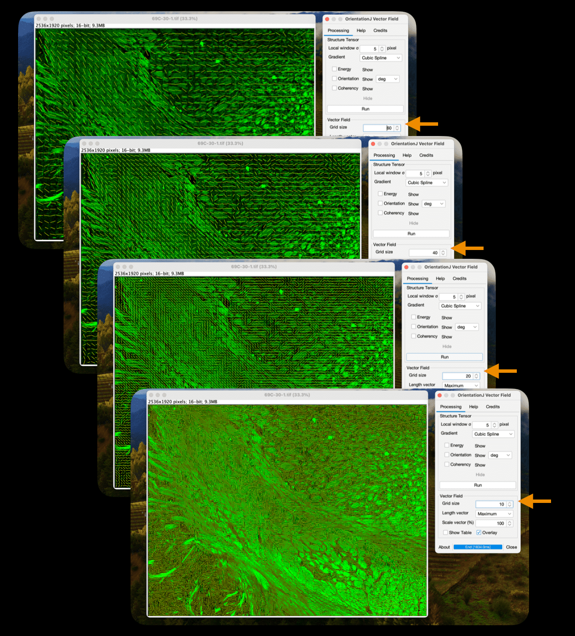 Captura de pantalla 2024-08-16 a la(s) 12.18.24 a.m.