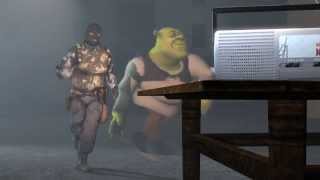 Why Hitler actually killed himself... ft. Shrek 