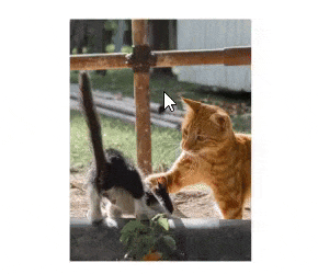 Mask-Modifier-Tool-ezgif-com-gif-maker