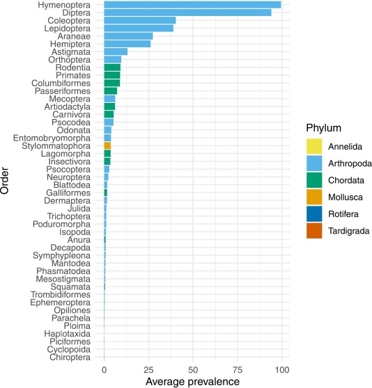 The average prevalence of all animal orders detected.
