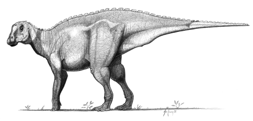 gryposaurus