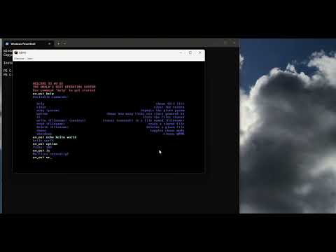 Demo Video