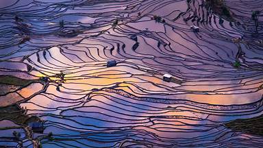 Aerial view of terraced rice fields, Yuanyang County, China (© AlexGcs/Getty Images)