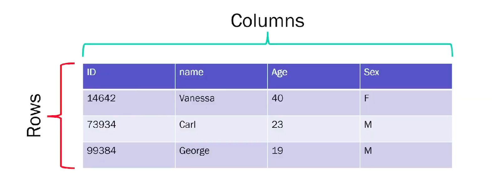 columns and rows