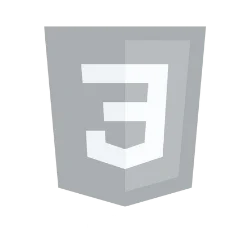 css3