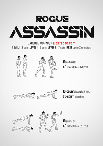 Rogue Assassin Workout