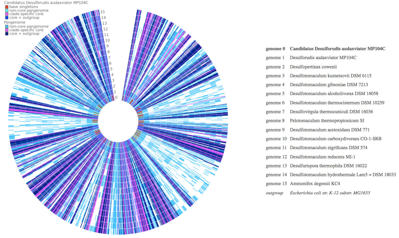 Pangenome Circle Plot