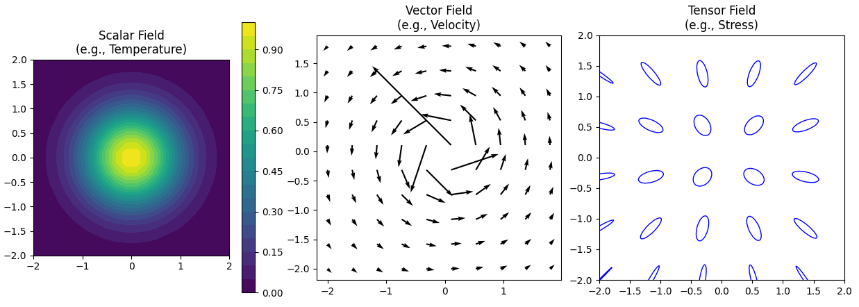 Tensor field