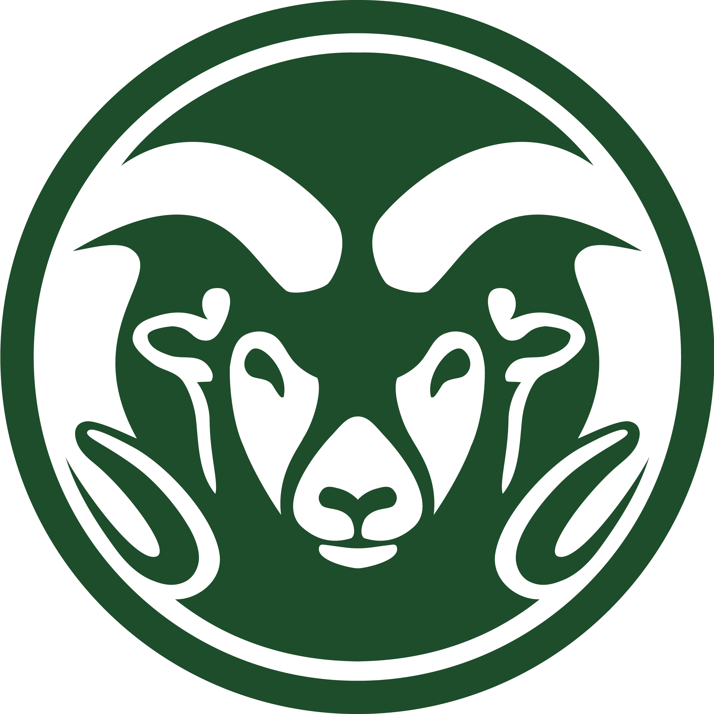 Colorado State University