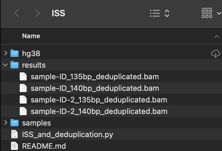 An image of the file structure highlighting the results folder where output files can me found