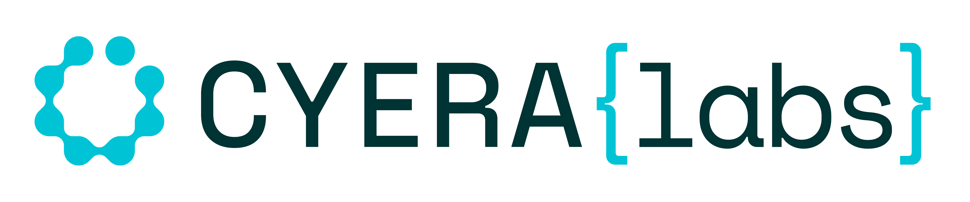 Cyera Labs