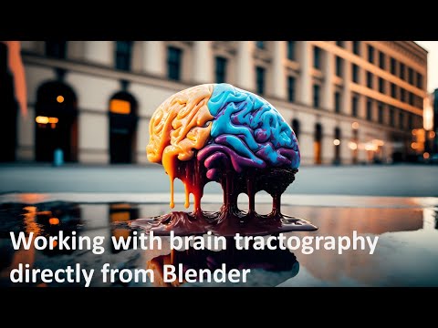 Using brain tractography with Nibabel or Dipy directly from Blender 3D