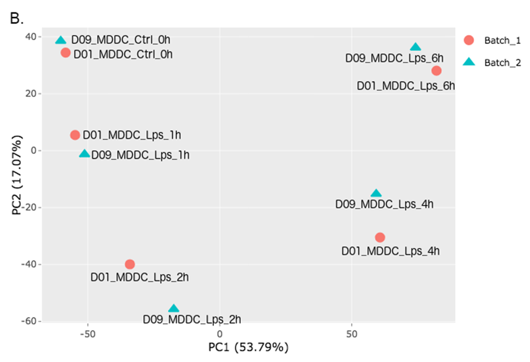 Figure 37. example pca after batch effect correction