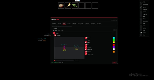 RustDMA screenshot 2