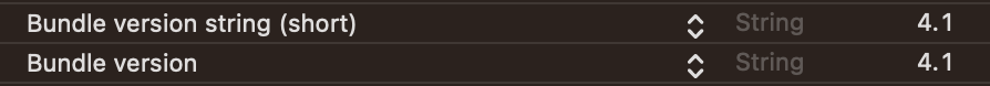 info.plist bundle version settings