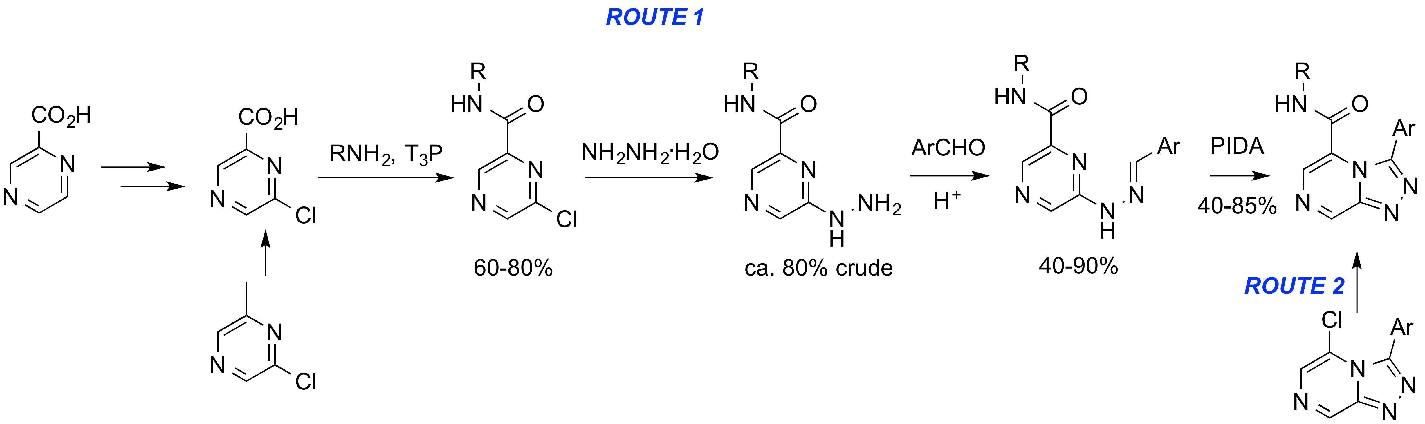 Synthetic Routes to the Amide Series