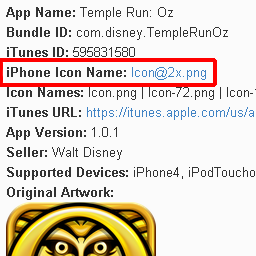 iPhone Icon Name