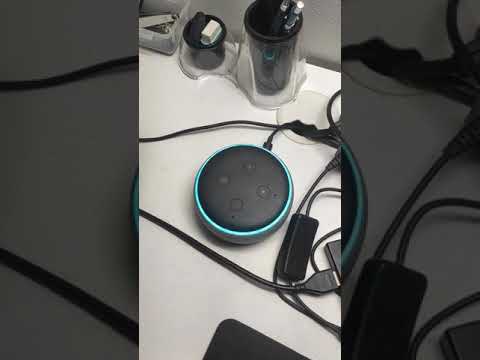 Teste utilização oi tchau alexa skill