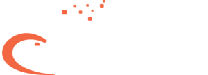 Webnestify Logo