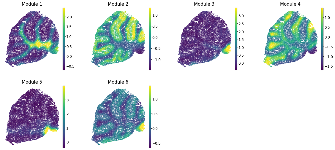 Spatial Gene Modules