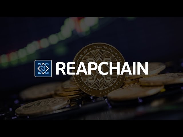 reapchain youtube