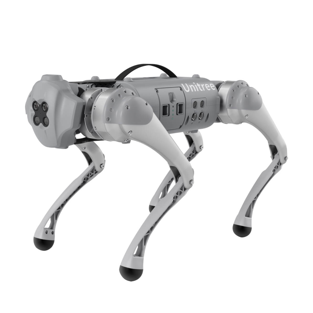 Robot dog