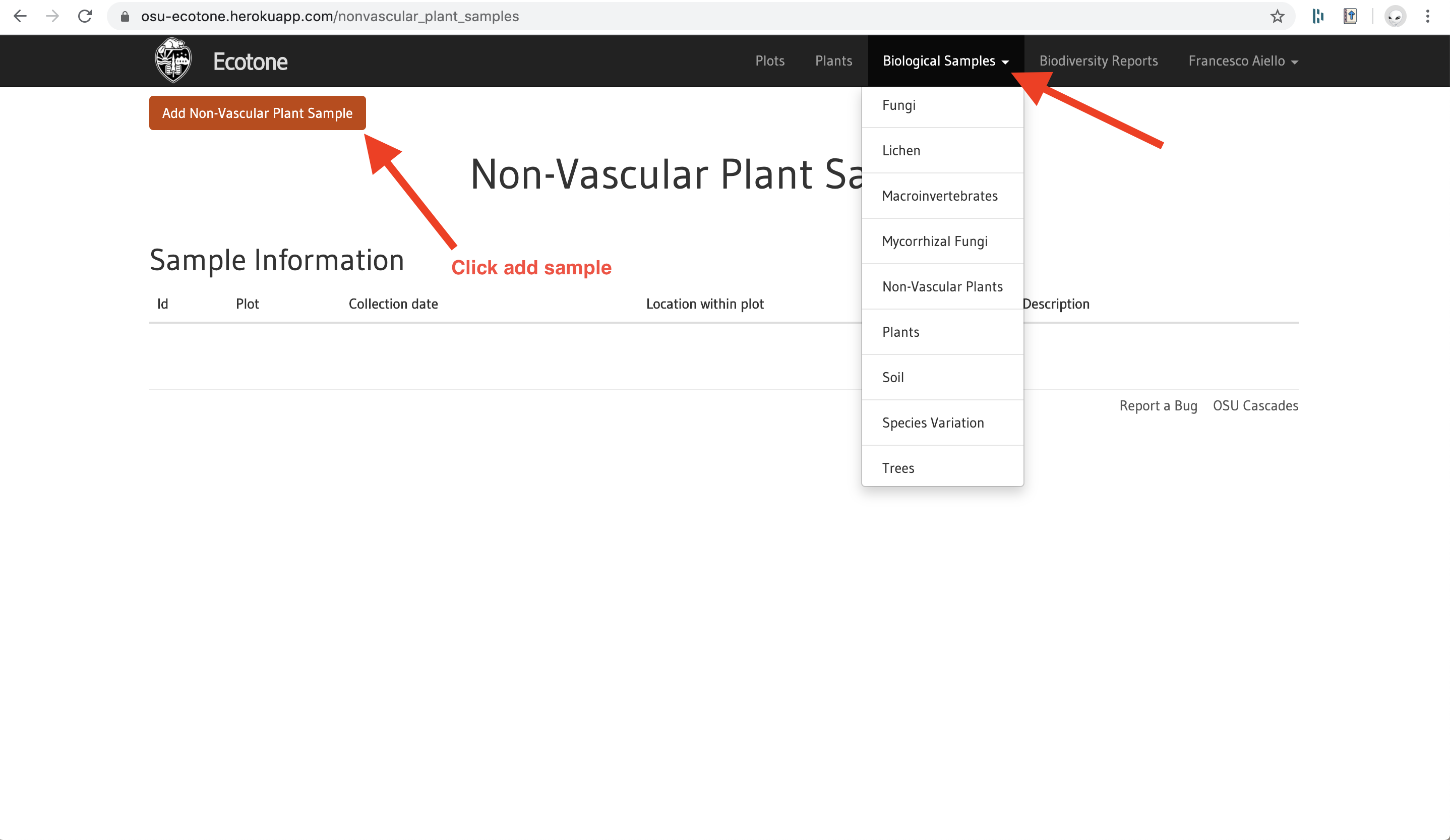 screen capture with arrows indicating steps