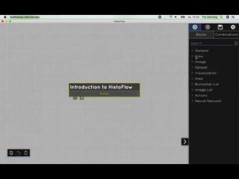 Introduction Video to HistoFlow