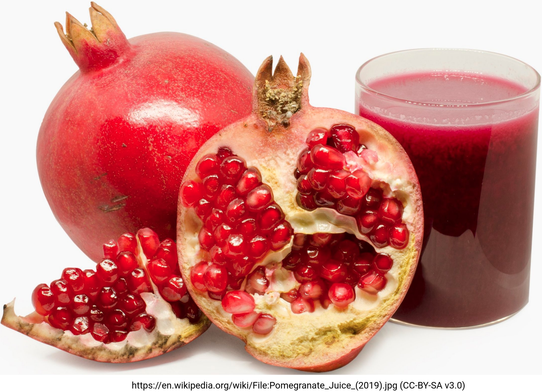 PgMYB308-like of pomegranate (Tweet #54)