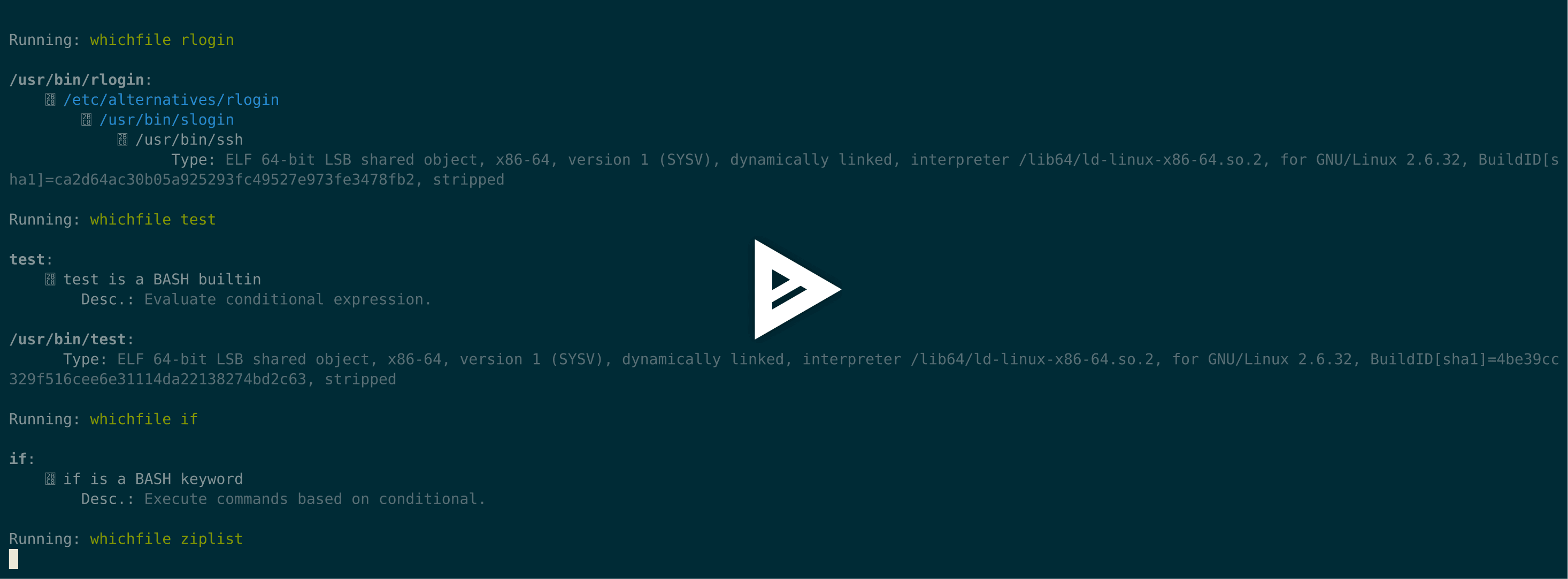 asciicast
