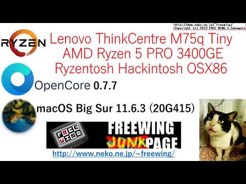 OpenCore Ryzentosh Big Sur Lenovo ThinkCentre M75q Tiny AMD Ryzen 5 PRO 3400GE Hackintosh OSX86