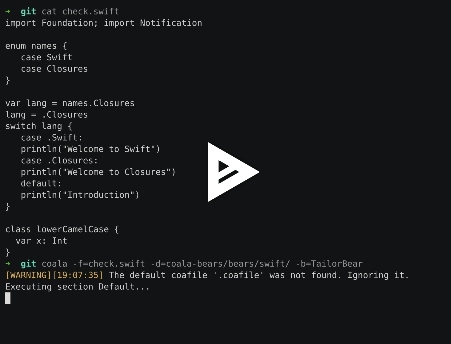 asciicast