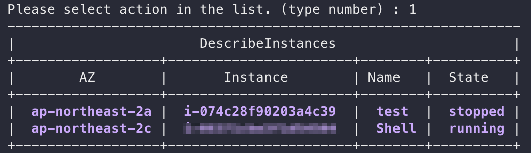 show ec2 instance list