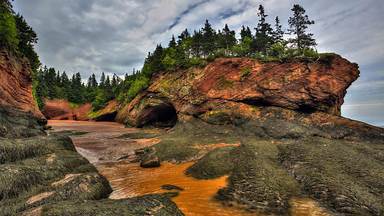 https://cn.bing.com/th?id=OHR.AcadianDay_ZH-CN7634007606&w=384&h=216