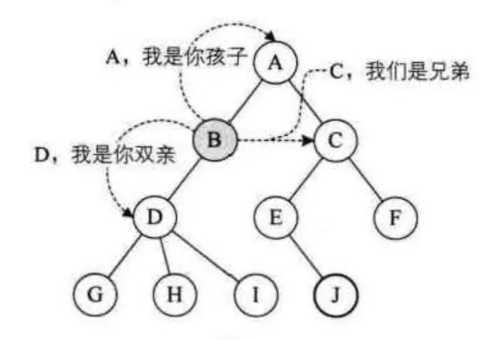 树结点关系