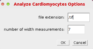 Cardiomyocytes-Options.png