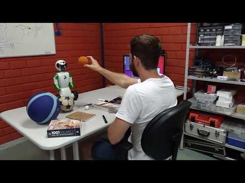 Guessing objects with Robot Beo