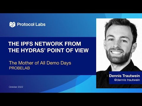 The IPFS Network from the Hydras' Point of View - Dennis Trautwein