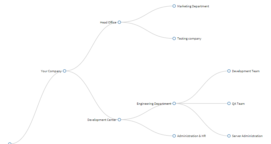 Company Structure