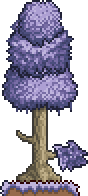 Lavender Tree