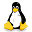 Linux