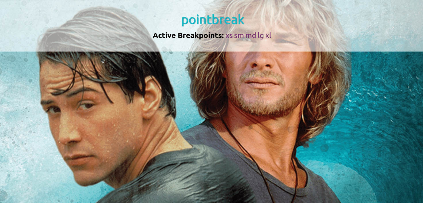 pointbreak