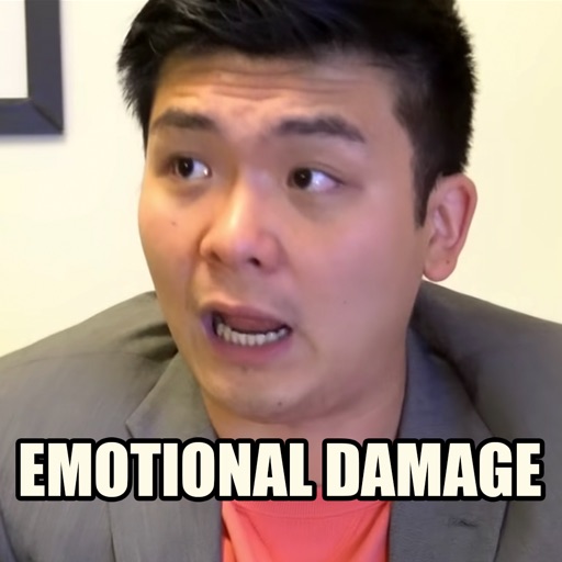 EMOTIONAL DAMAGE