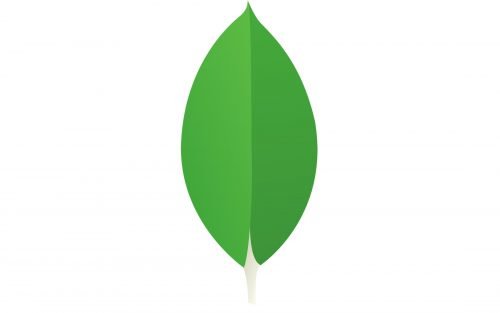 mongoDB