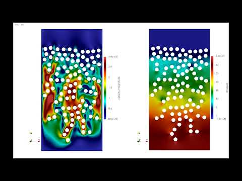 Sedimentation in 2D of 100 particles in a cavity