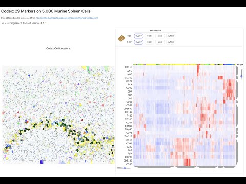 10K PBMC CITE-seq