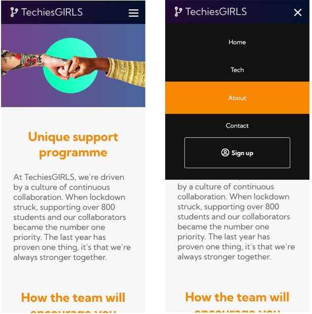 TechiesGIRLS Website