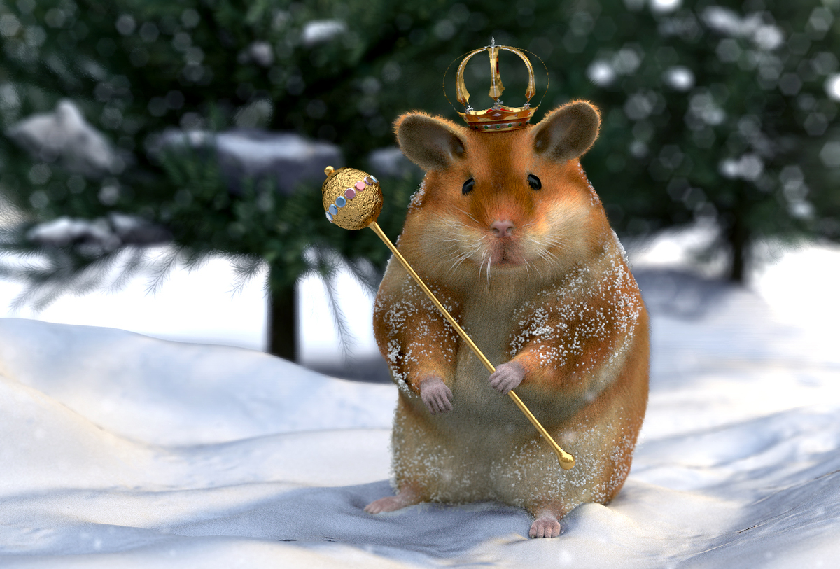 King Hamster